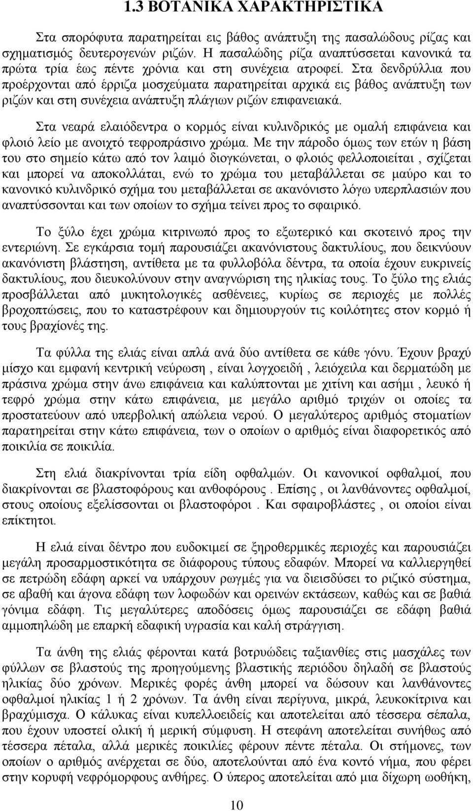 Στα δενδρύλλια που προέρχονται από έρριζα μοσχεύματα παρατηρείται αρχικά εις βάθος ανάπτυξη των ριζών και στη συνέχεια ανάπτυξη πλάγιων ριζών επιφανειακά.