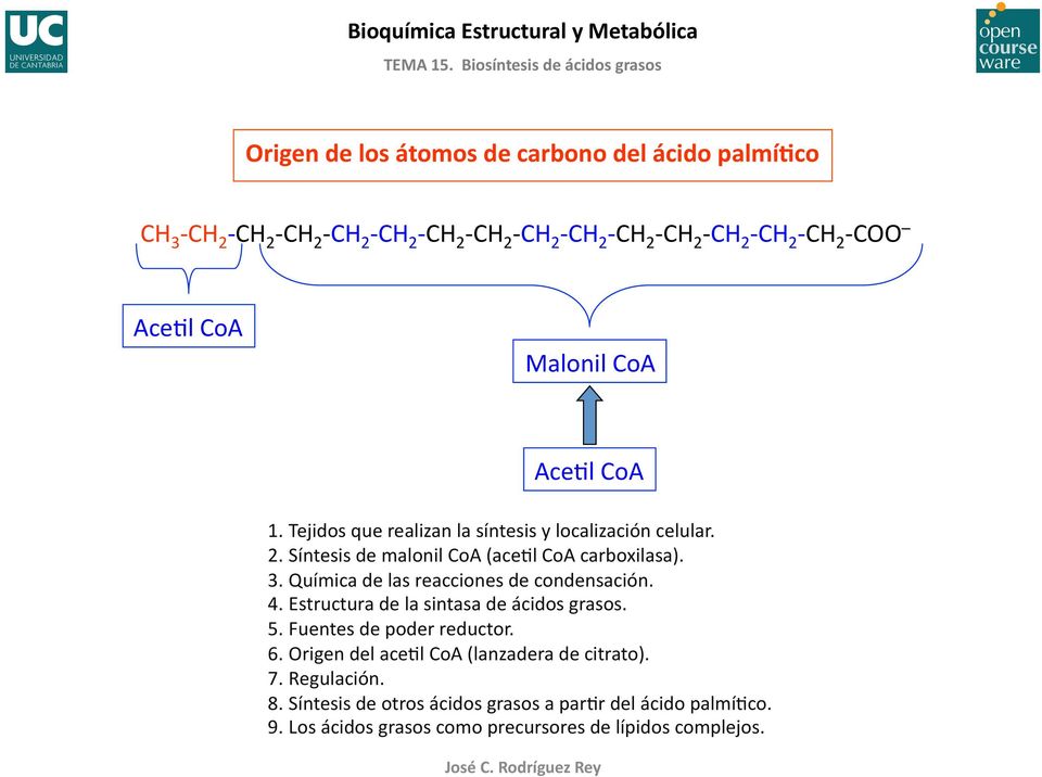 3. Química de las reacciones de condensación. 4. Estructura de la sintasa de ácidos grasos. 5. Fuentes de poder reductor. 6.