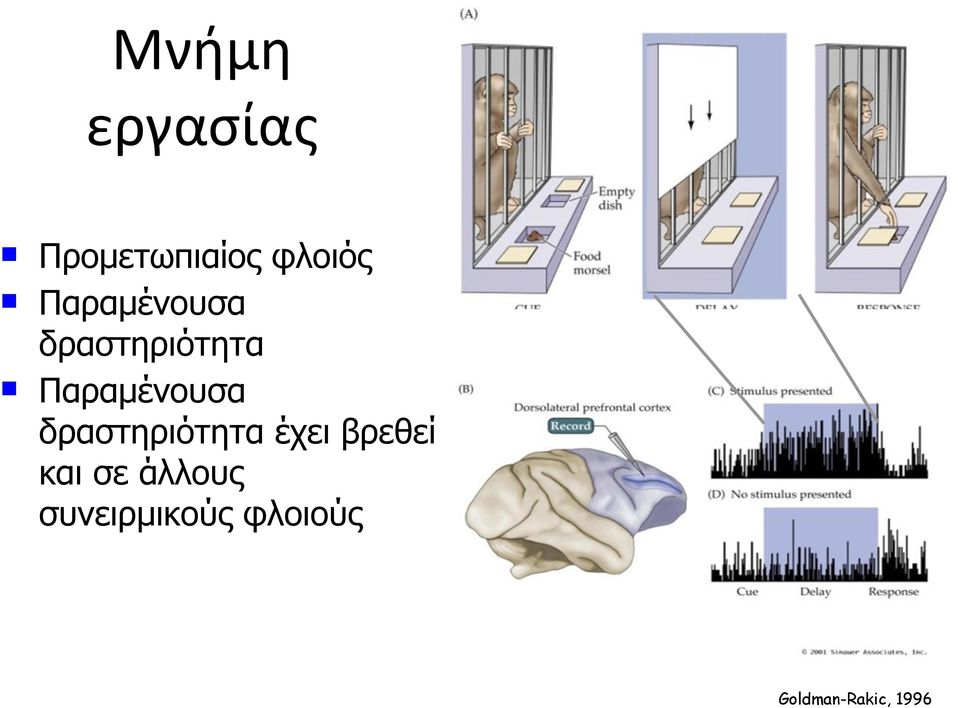 Παραµένουσα δραστηριότητα έχει βρεθεί