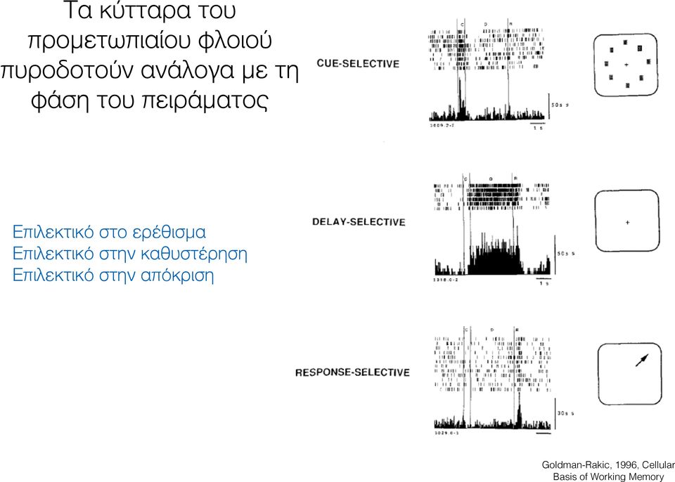 ερέθισμα Επιλεκτικό στην καθυστέρηση Επιλεκτικό στην