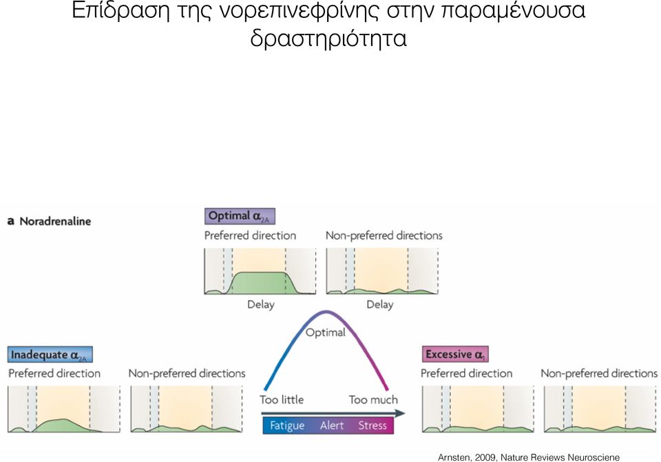 παραμένουσα