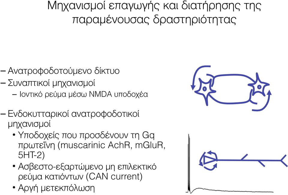 ανατροφοδοτικοί μηχανισμοί Υποδοχείς που προσδένουν τη Gq πρωτεΐνη (muscarinic AchR,