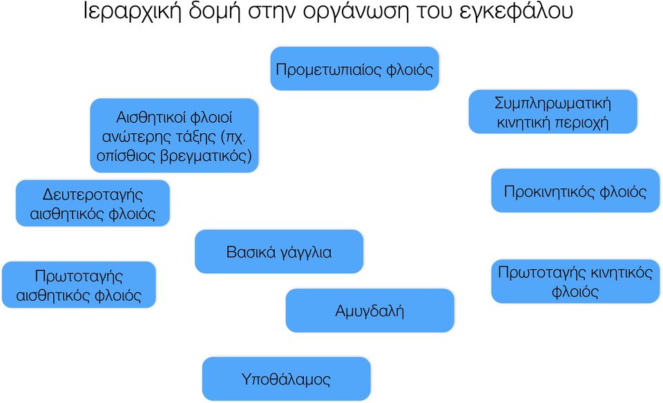 οπίσθιος βρεγματικός) Συμπληρωματική κινητική περιοχή Προκινητικός φλοιός