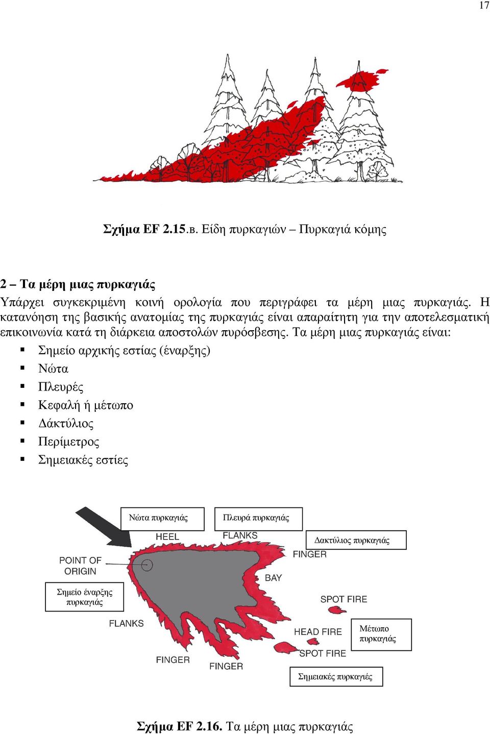 Η κατανόηση της βασικής ανατοµίας της πυρκαγιάς είναι απαραίτητη για την αποτελεσµατική επικοινωνία κατά τη διάρκεια αποστολών πυρόσβεσης.