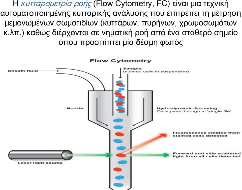 μεμονωμένων σωματιδίων (κυττάρων, πυρήνων, χρωμοσωμάτων κ.λπ.