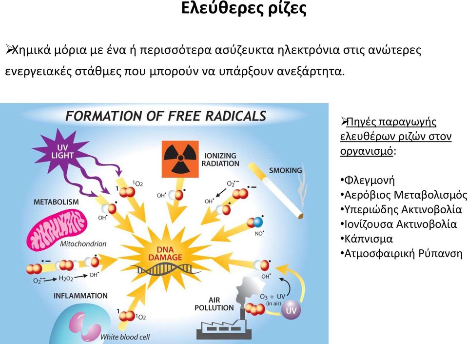 Πηγές παραγωγής ελευθέρων ριζών στον οργανισμό: Φλεγμονή Αερόβιος