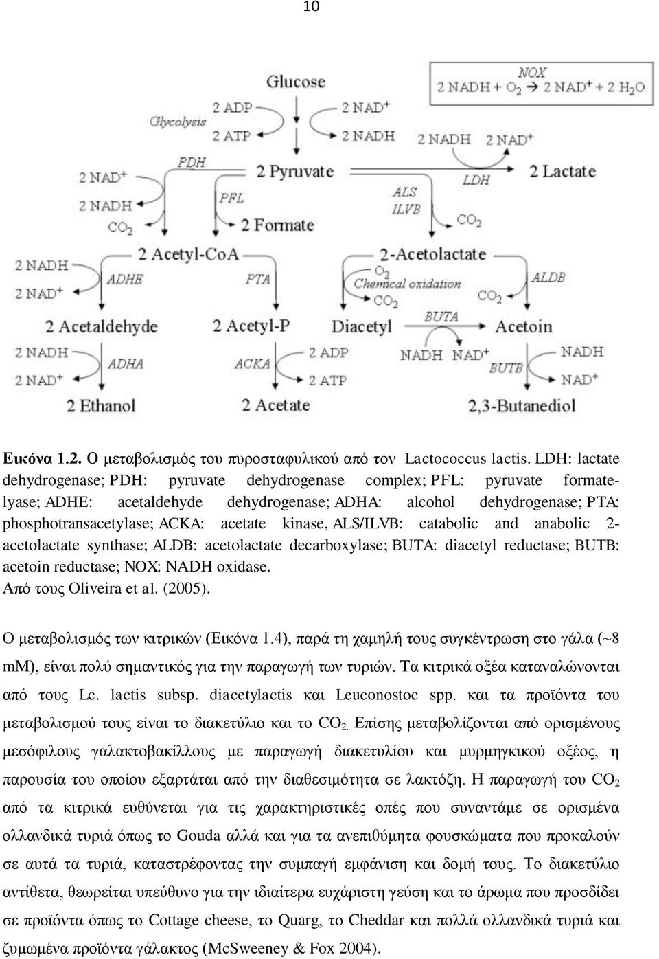 kinase, ALS/ILVB: catabolic and anabolic 2- acetolactate synthase; ALDB: acetolactate decarboxylase; BUTA: diacetyl reductase; BUTB: acetoin reductase; NOX: NADH oxidase. Από τους Oliveira et al.