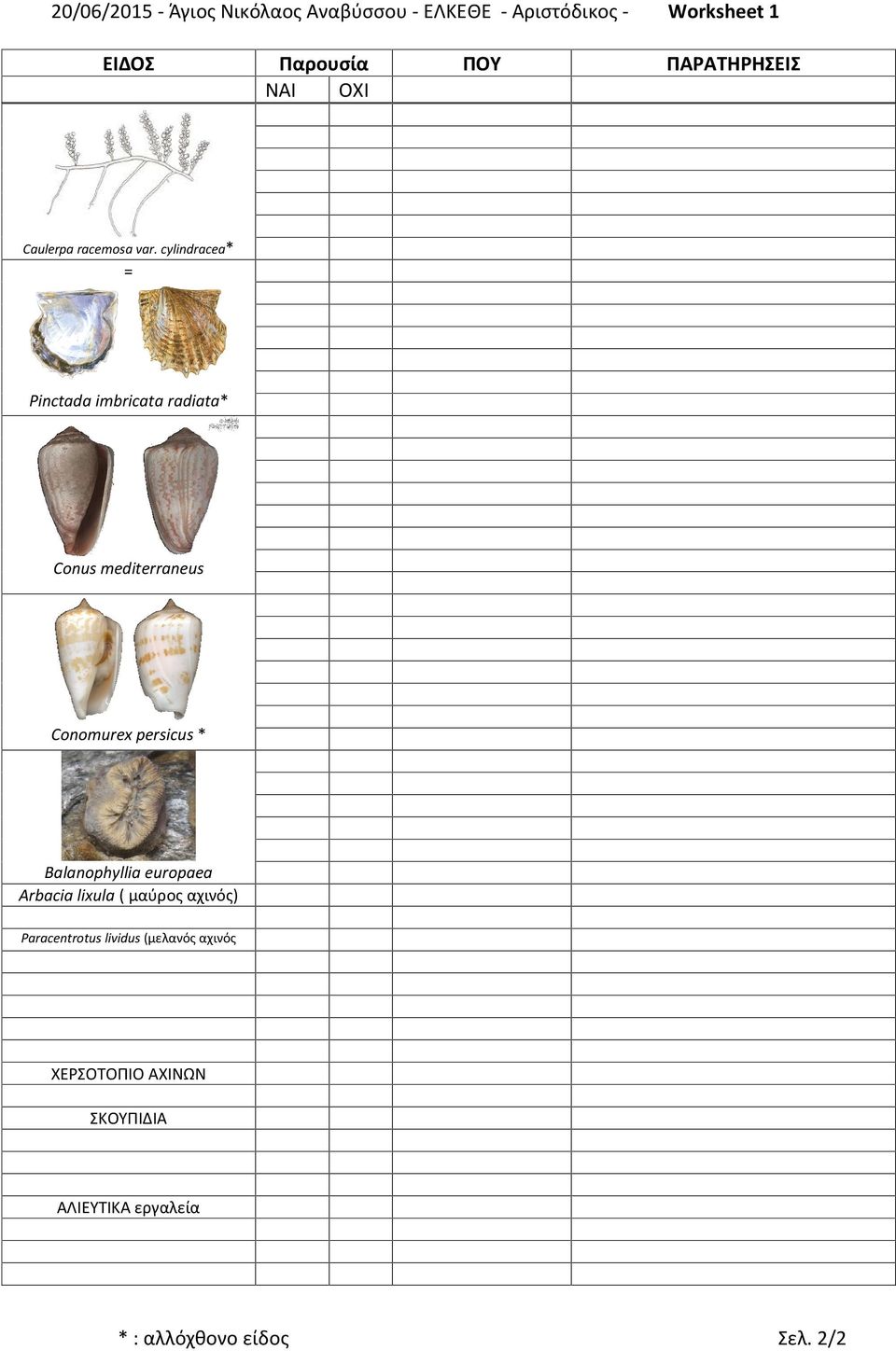 cylindracea* = Pinctada imbricata radiata* Conus mediterraneus Conomurex persicus * Balanophyllia