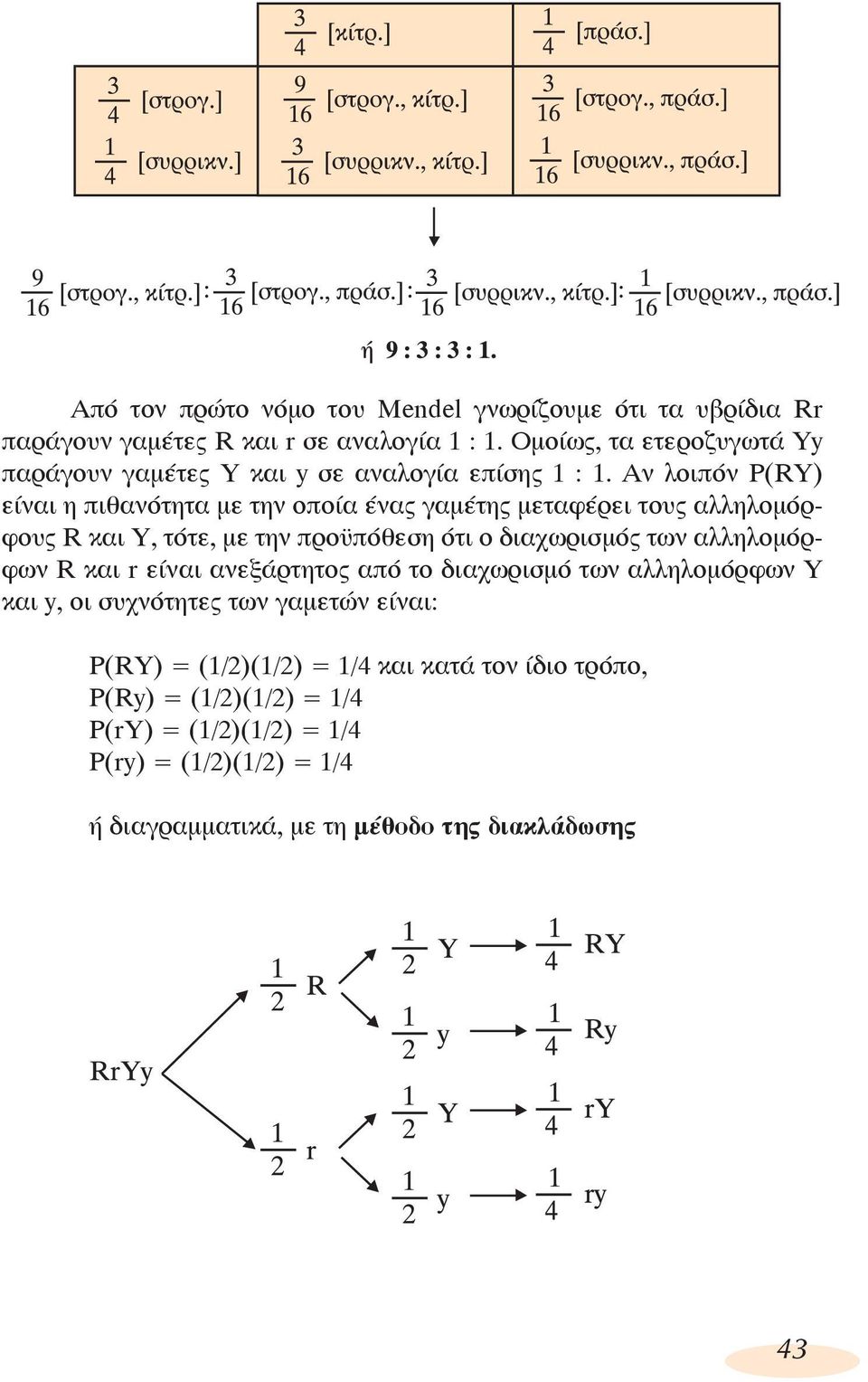 Αν λοιπόν Ρ(RY) είναι η πιθανότητα με την οποία ένας γαμέτης μεταφέρει τους αλληλομόρφους R και Υ, τότε, με την προϋπόθεση ότι ο διαχωρισμός των