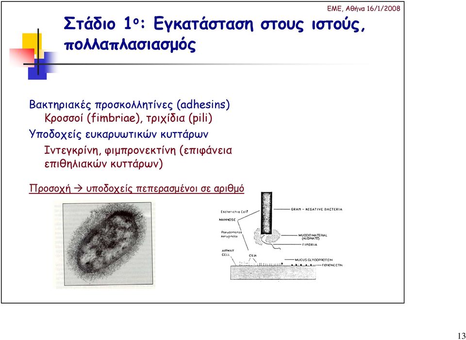 τριχίδια (pili) Υποδοχείς ευκαρυωτικών κυττάρων Ιντεγκρίνη,