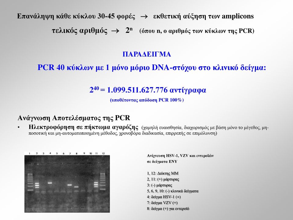 776 αντίγραφα (υποθέτοντας απόδοση PCR 100%) Ανάγνωση Αποτελέσματος της PCR Ηλεκτροφόρηση σε πήκτωμα αγαρόζης (χαμηλή ευαισθησία, διαχωρισμός με βάση μόνο το μέγεθος,