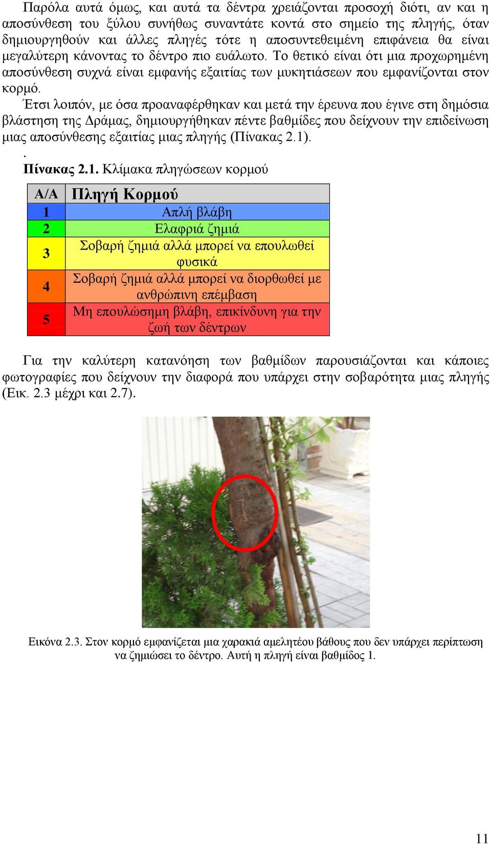 Έτσι λοιπόν, με όσα προαναφέρθηκαν και μετά την έρευνα που έγινε στη δημόσια βλάστηση της Δράμας, δημιουργήθηκαν πέντε βαθμίδες που δείχνουν την επιδείνωση μιας αποσύνθεσης εξαιτίας μιας πληγής