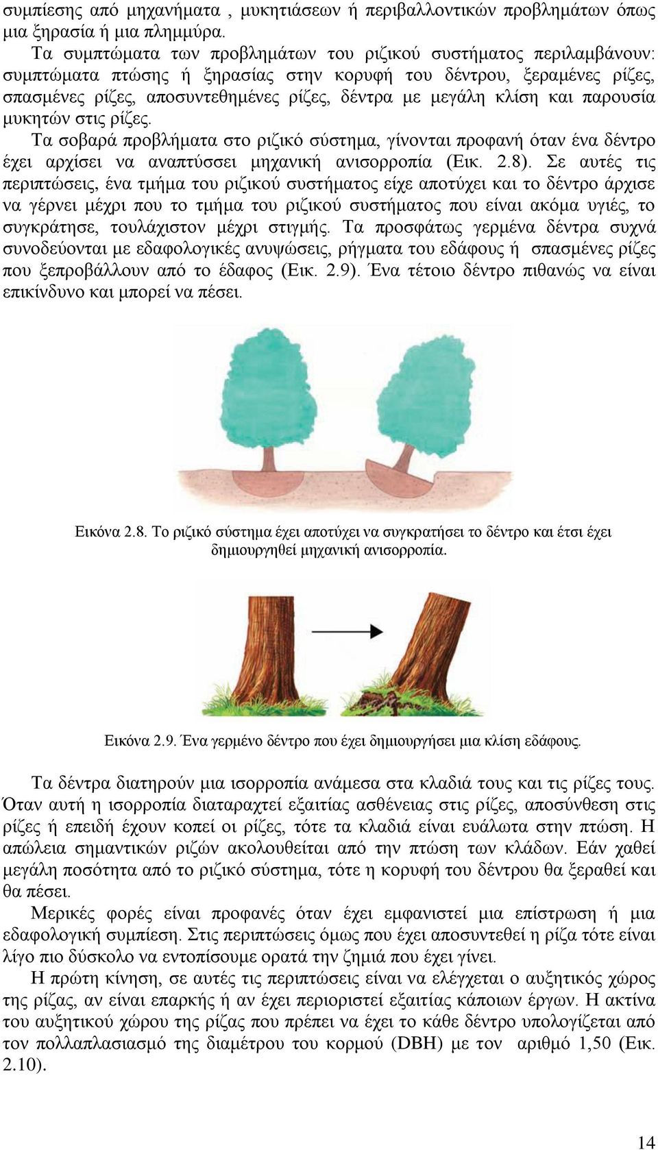 κλίση και παρουσία μυκητών στις ρίζες. Τα σοβαρά προβλήματα στο ριζικό σύστημα, γίνονται προφανή όταν ένα δέντρο έχει αρχίσει να αναπτύσσει μηχανική ανισορροπία (Εικ. 2.8).