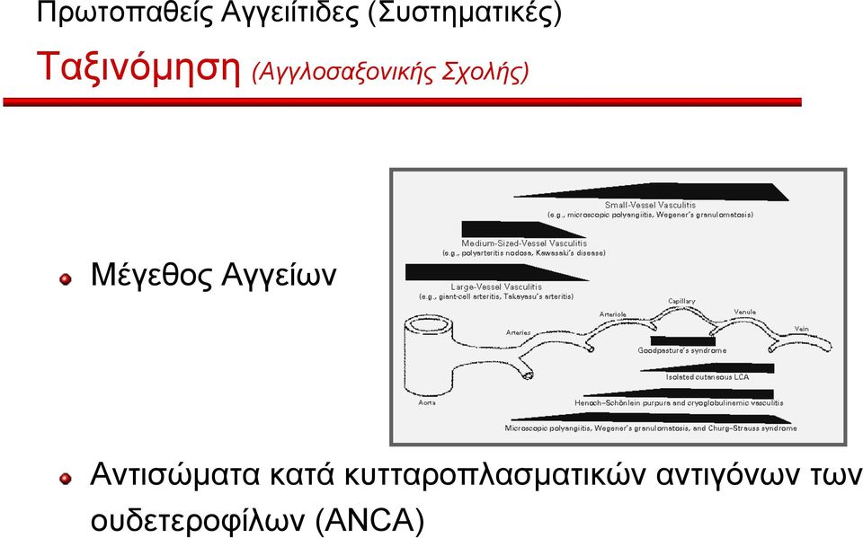 Μέγεθος Αγγείων!