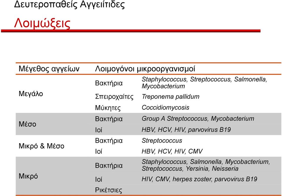 Mycobacterium Treponema pallidum Coccidiomycosis Group A Streptococcus, Mycobacterium HBV, HCV, HIV, parvovirus B19