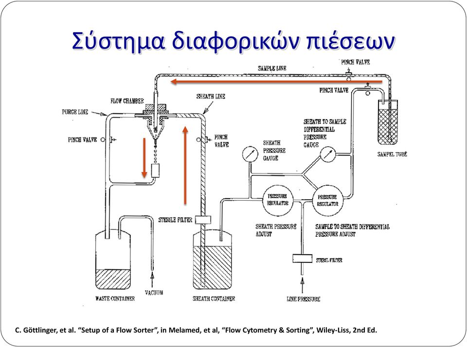 Setup of a Flow Sorter, in