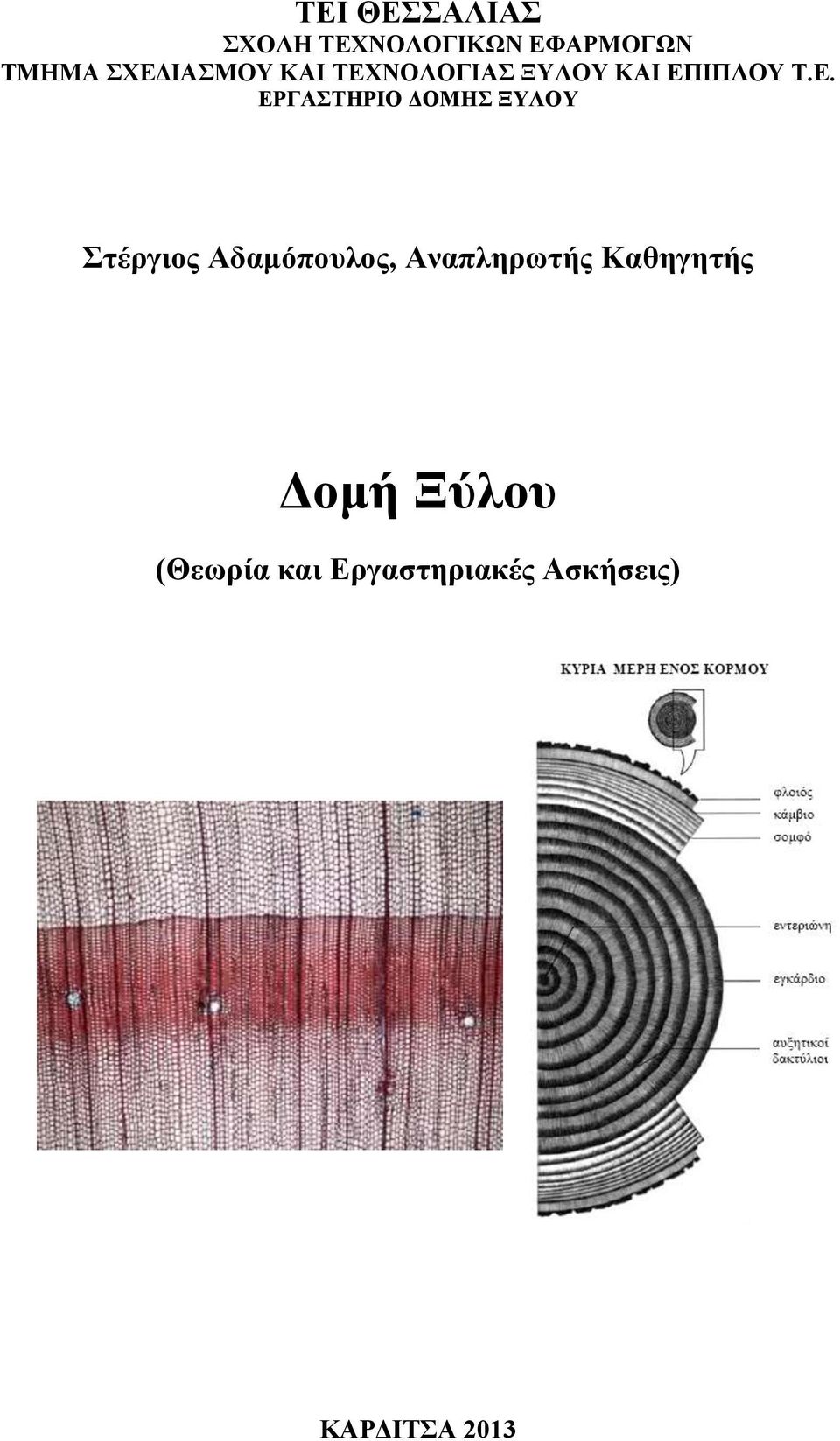 ΕΡΓΑΣΤΗΡΙΟ ΔΟΜΗΣ ΞΥΛΟΥ Στέργιος Αδαμόπουλος, Αναπληρωτής