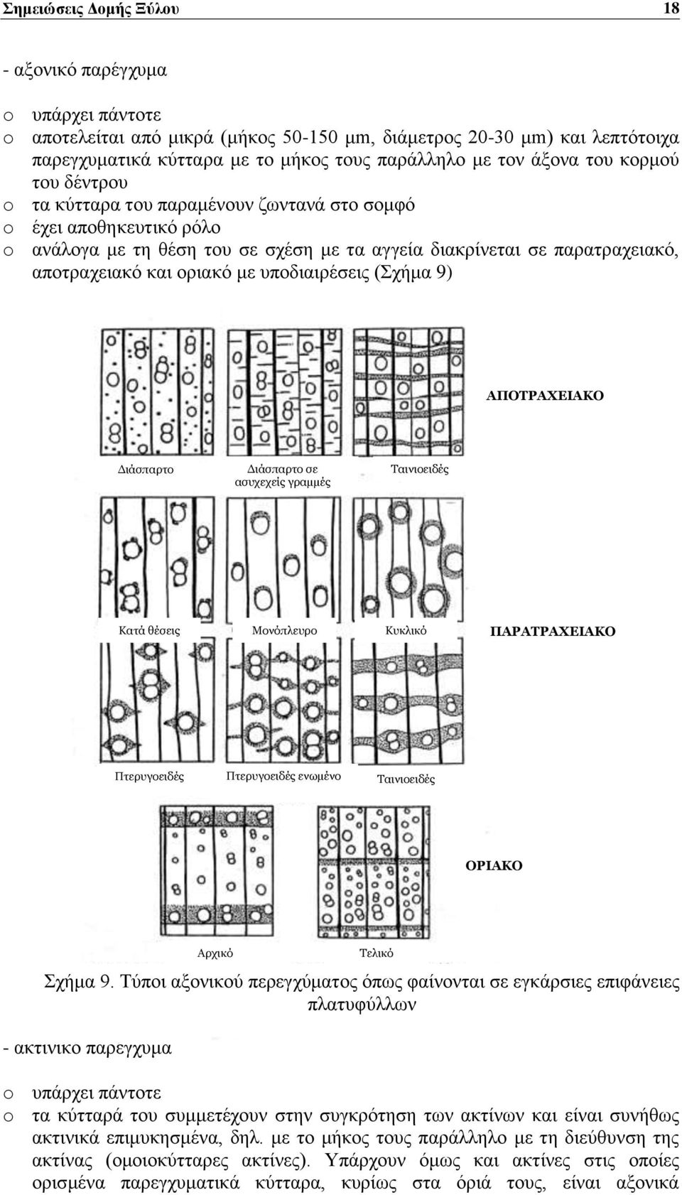 οριακό με υποδιαιρέσεις (Σχήμα 9) ΑΠΟΤΡΑΧΕΙΑΚΟ Διάσπαρτο Διάσπαρτο σε ασυχεχείς γραμμές Ταινιοειδές Κατά θέσεις Μονόπλευρο Κυκλικό ΠΑΡΑΤΡΑΧΕΙΑΚΟ Πτερυγοειδές Πτερυγοειδές ενωμένο Ταινιοειδές ΟΡΙΑΚΟ