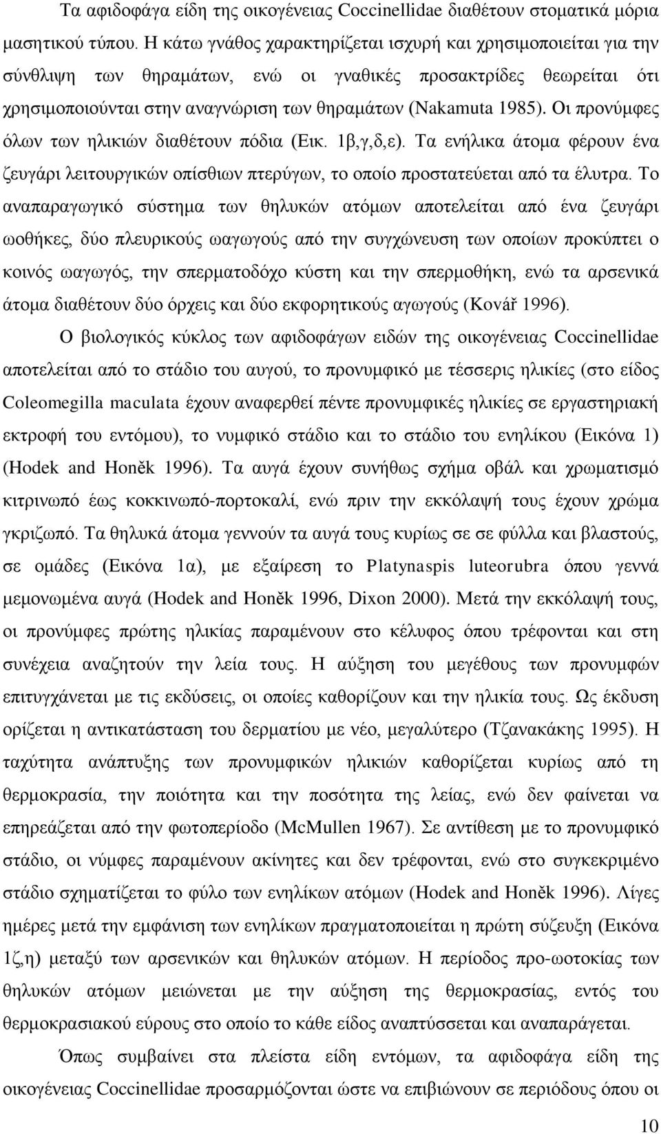 Οι προνύμφες όλων των ηλικιών διαθέτουν πόδια (Εικ. 1β,γ,δ,ε). Τα ενήλικα άτομα φέρουν ένα ζευγάρι λειτουργικών οπίσθιων πτερύγων, το οποίο προστατεύεται από τα έλυτρα.