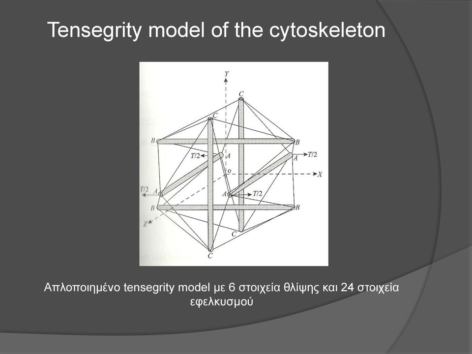 tensegrity model με 6