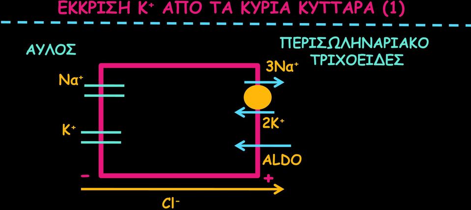 ΠΕΡΙΣΩΛΗΝΑΡΙΑΚΟ 3Να +