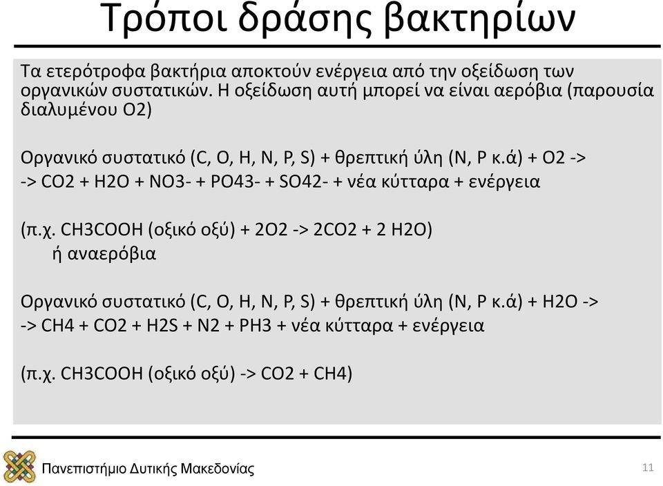 ά) + Ο2 -> -> CO2 + H2O + NO3- + PO43- + SO42- + νέα κύτταρα + ενέργεια (π.χ.