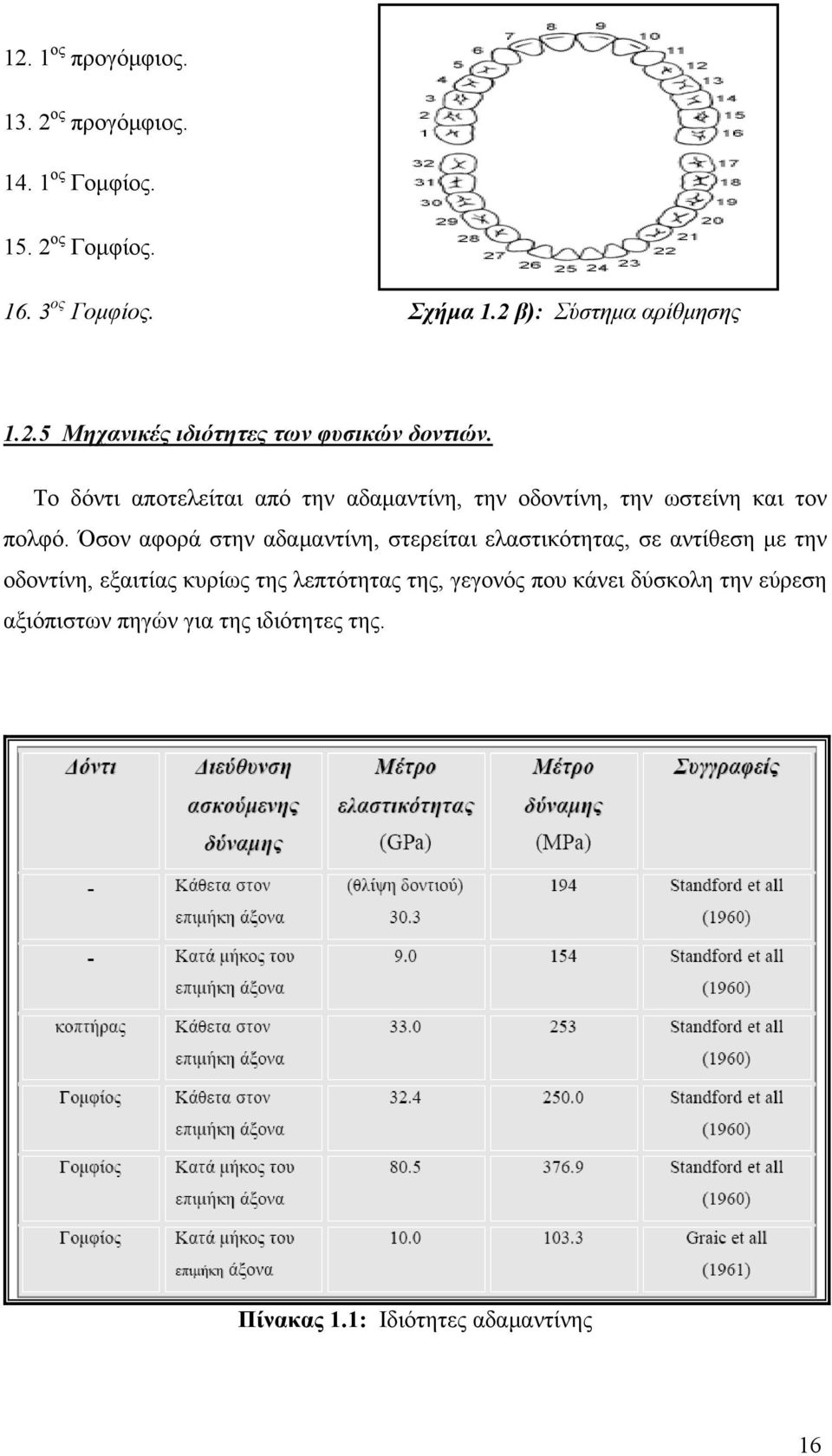 Το δόντι αποτελείται από την αδαμαντίνη, την οδοντίνη, την ωστείνη και τον πολφό.