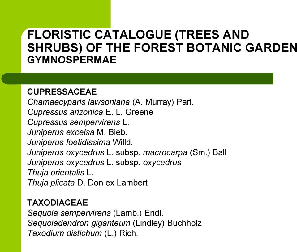 Juniperus oxycedrus L. subsp. macrocarpa (Sm.) Ball Juniperus oxycedrus L. subsp. oxycedrus Thuja orientalis L. Thuja plicata D.