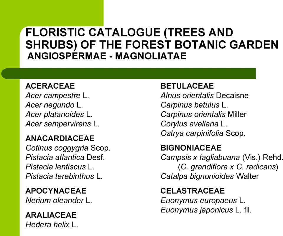 ARALIACEAE Hedera helix L. BETULACEAE Alnus orientalis Decaisne Carpinus betulus L. Carpinus orientalis Miller Corylus avellana L. Ostrya carpinifolia Scop.