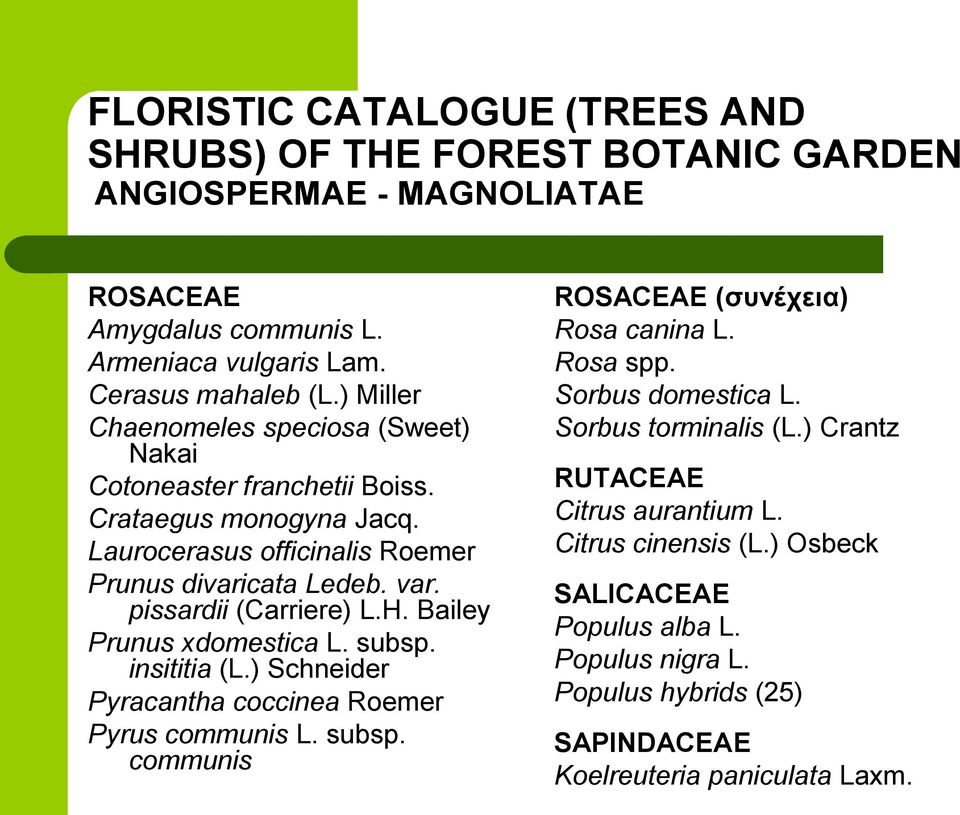 H. Bailey Prunus xdomestica L. subsp. insititia (L.) Schneider Pyracantha coccinea Roemer Pyrus communis L. subsp. communis ROSACEAE (ζσνέτεια) Rosa canina L. Rosa spp.