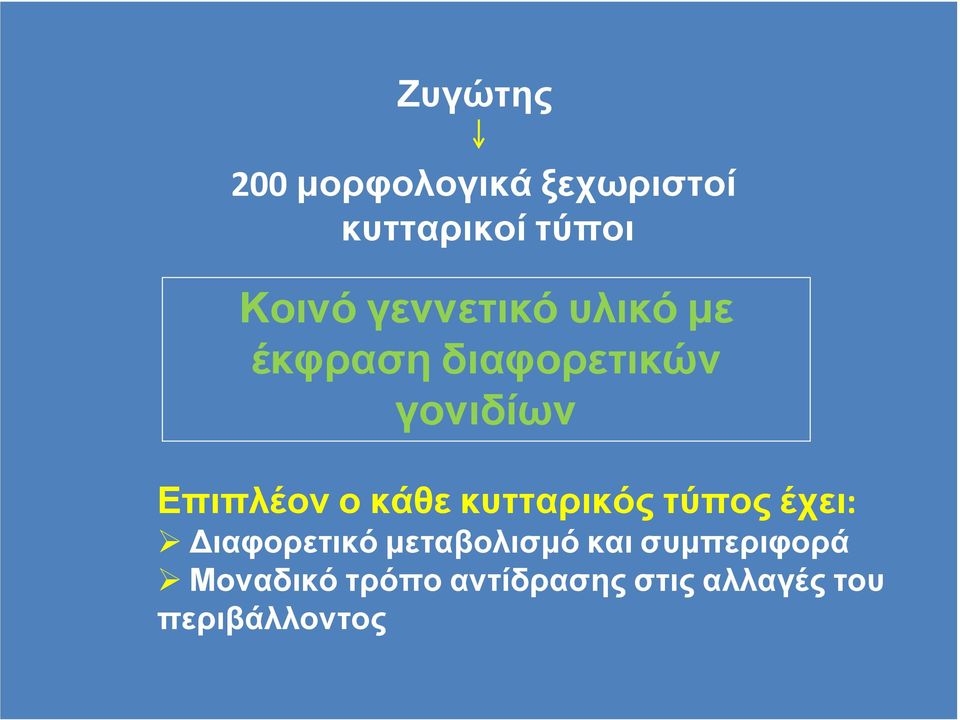 κάθε κυτταρικός τύπος έχει: ιαφορετικό µεταβολισµό και