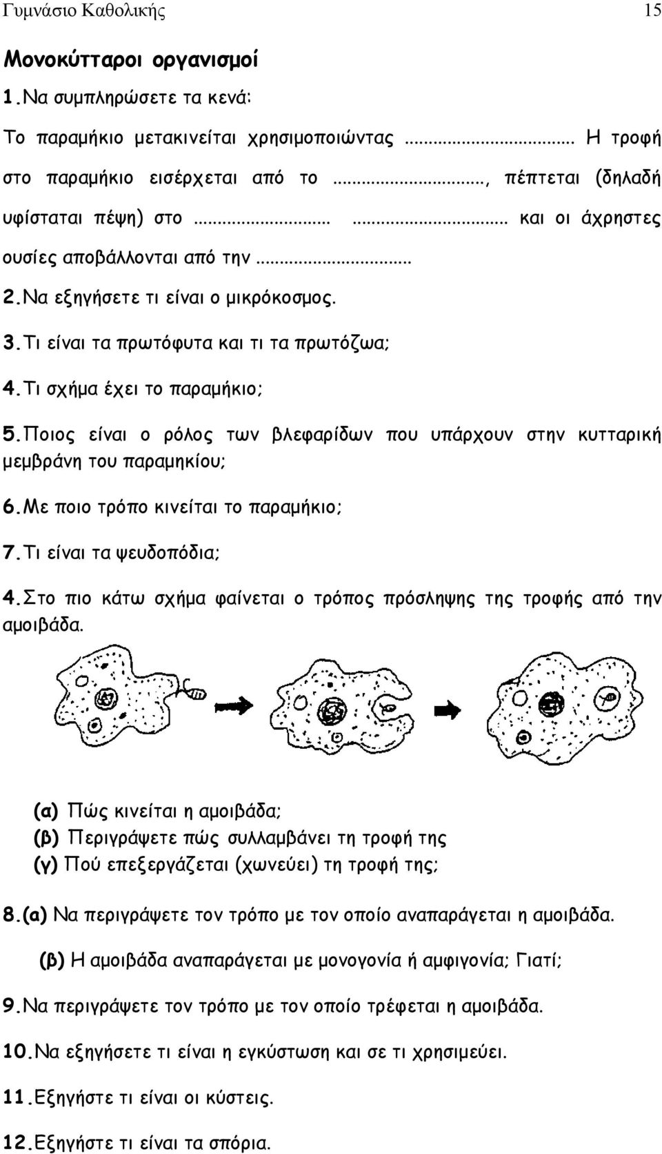 Ποιος είναι ο ρόλος των βλεφαρίδων που υπάρχουν στην κυτταρική μεμβράνη του παραμηκίου; 6.Με ποιο τρόπο κινείται το παραμήκιο; 7.Τι είναι τα ψευδοπόδια; 4.