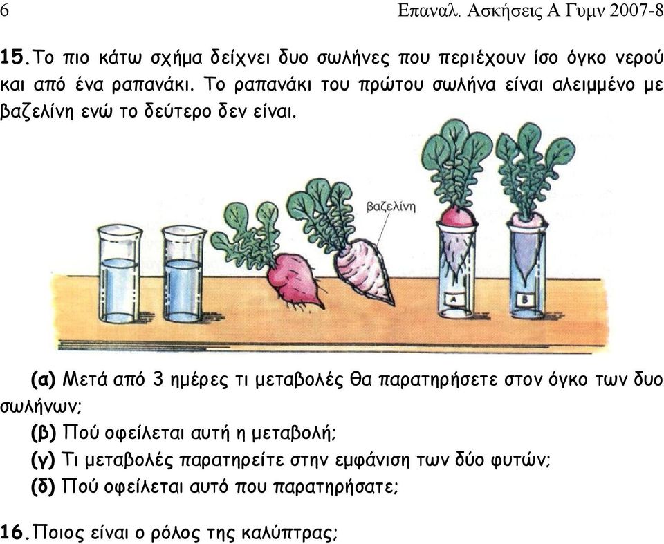 Το ραπανάκι του πρώτου σωλήνα είναι αλειμμένο με βαζελίνη ενώ το δεύτερο δεν είναι.