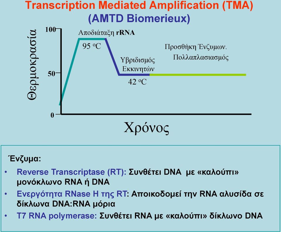 Πνιιαπιαζηαζκόο 0 Χξόλνο Έλδπκα: Reverse Transcriptase (RT): πλζέηεη DNA κε «θαινύπη» κνλόθιωλν