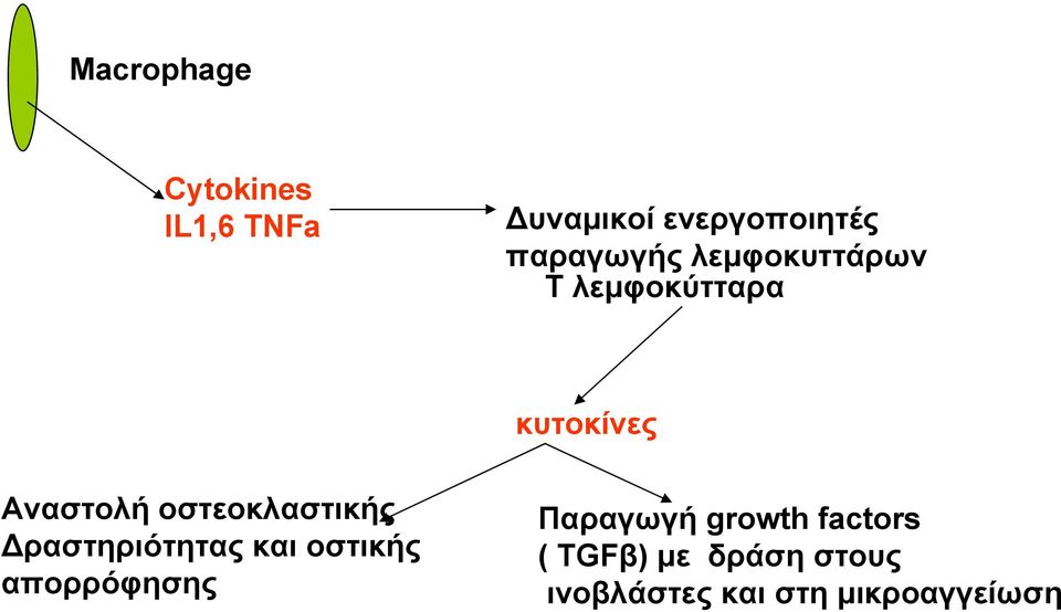 οστεοκλαστικής Δραστηριότητας και οστικής απορρόφησης