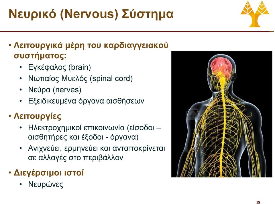 Λειτουργίες Ηλεκτροχημικοί επικοινωνία (είσοδοι αισθητήρες και έξοδοι - όργανα)