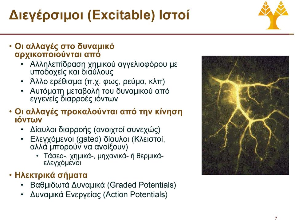 φως, ρεύμα, κλπ) Αυτόματη μεταβολή του δυναμικού από εγγενείς διαρροές ιόντων Οι αλλαγές προκαλούνται από την κίνηση ιόντων