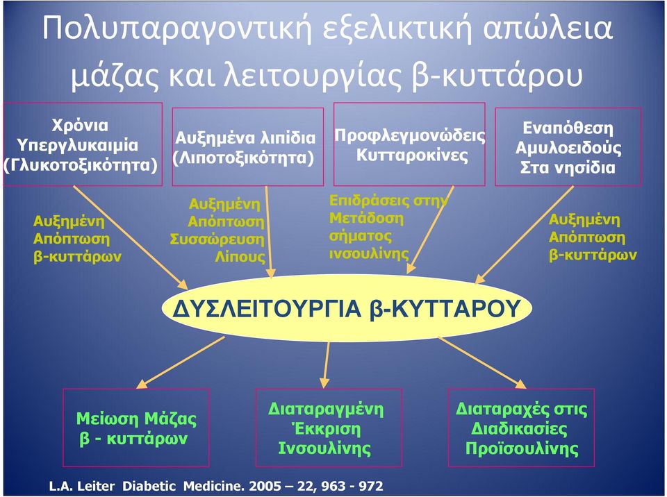 Απόπτωση Συσσώρευση Λίπους Επιδράσεις στην Μετάδοση σήµατος ινσουλίνης Αυξηµένη Απόπτωση β-κυττάρων ΥΣΛΕΙΤΟΥΡΓΙΑ β-κυτταρου