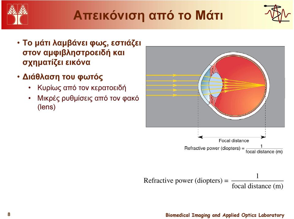 φωτός Κυρίως από τον κερατοειδή Μικρές ρυθμίσεις από τον