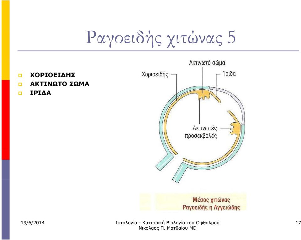 ΧΟΡΙΟΕΙΔΗΣ