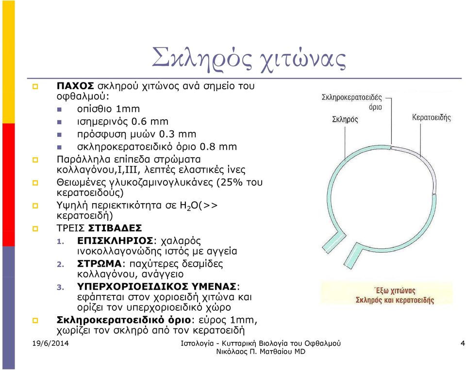 2 Ο(>> κερατοειδή) ΤΡΕΙΣ ΣΤΙΒΑΔΕΣ 1. ΕΠΙΣΚΛΗΡΙΟΣ: χαλαρός ινοκολλαγονώδης ιστός με αγγεία 2. ΣΤΡΩΜΑ: παχύτερες δεσμίδες κολλαγόνου, ανάγγειο 3.