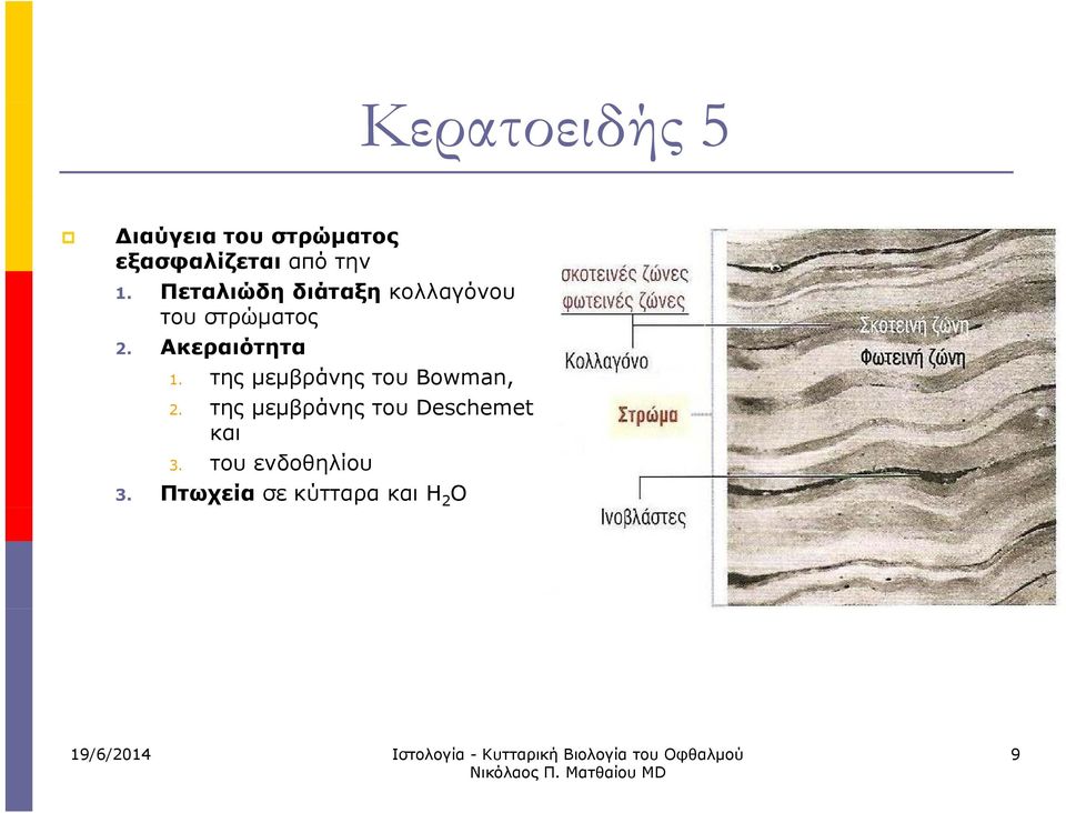 Ακεραιότητα 1. της μεμβράνης του Bowman, 2.