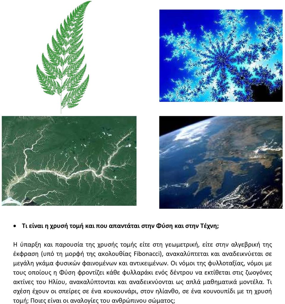 Οι νόμοι της φυλλοταξίας, νόμοι με τους οποίους η Φύση φροντίζει κάθε φυλλαράκι ενός δέντρου να εκτίθεται στις ζωογόνες ακτίνες του Ηλίου, ανακαλύπτονται