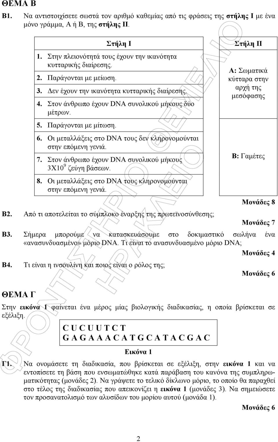 Οι µεταλλάξεις στο DNA τους δεν κληρονοµούνται στην επόµενη γενιά. 7. Στον άνθρωπο έχουν DNA συνολικού µήκους 3X10 9 ζεύγη βάσεων. 8. Οι µεταλλάξεις στο DNA τους κληρονοµούνται στην επόµενη γενιά. Β2.