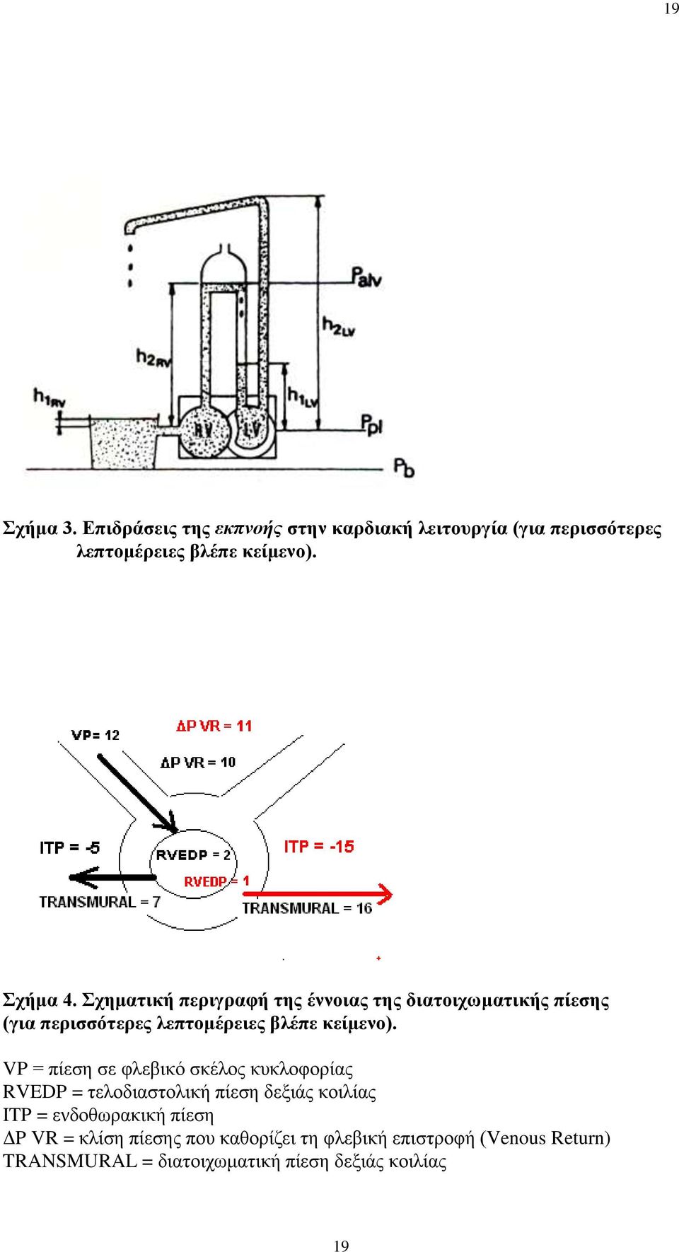 VP = πίεζε ζε θιεβηθό ζθέινο θπθινθνξίαο RVEDP = ηεινδηαζηνιηθή πίεζε δεμηάο θνηιίαο ITP = ελδνζσξαθηθή πίεζε ΓP