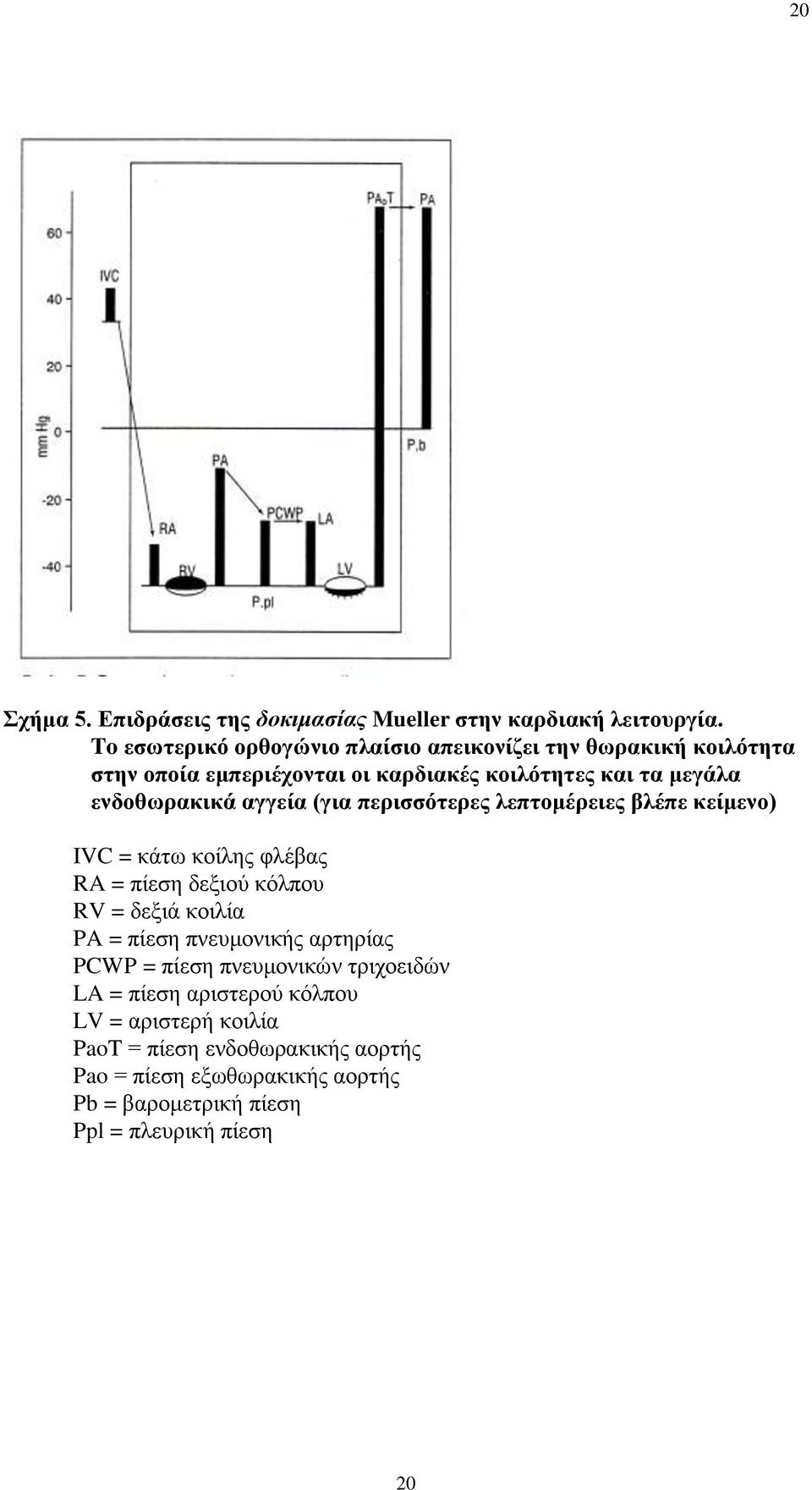 ελδνζωξαθηθά αγγεία (γηα πεξηζζόηεξεο ιεπηνκέξεηεο βιέπε θείκελν) IVC = θάησ θνίιεο θιέβαο RA = πίεζε δεμηνύ θόιπνπ RV = δεμηά θνηιία PA =