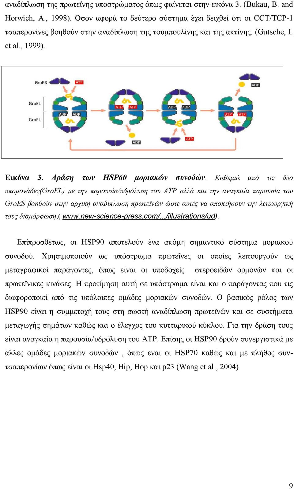 Δράση των HSP60 μοριακών συνοδών.