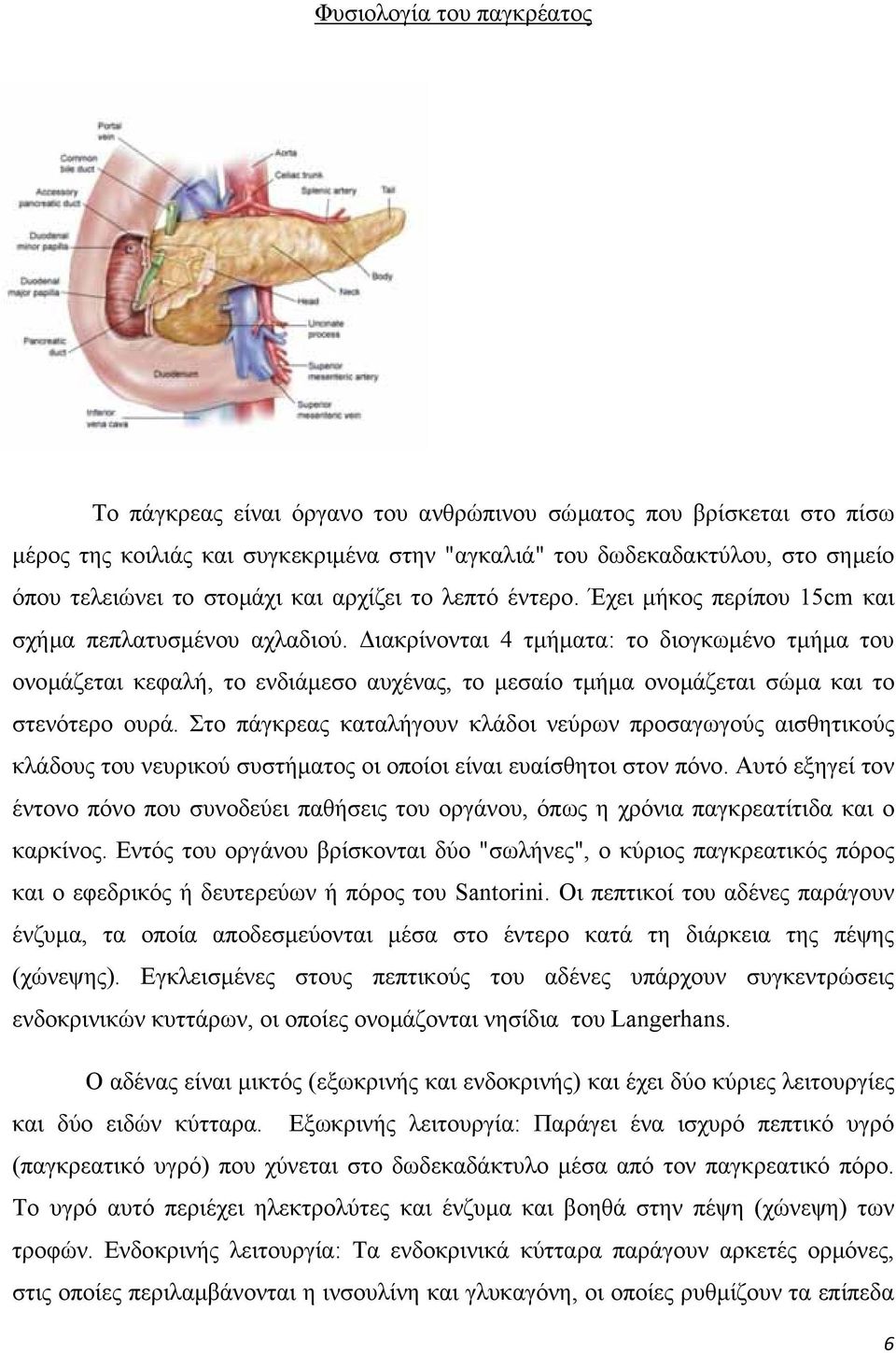 ιακρίνονται 4 τµήµατα: το διογκωµένο τµήµα του ονοµάζεται κεφαλή, το ενδιάµεσο αυχένας, το µεσαίο τµήµα ονοµάζεται σώµα και το στενότερο ουρά.