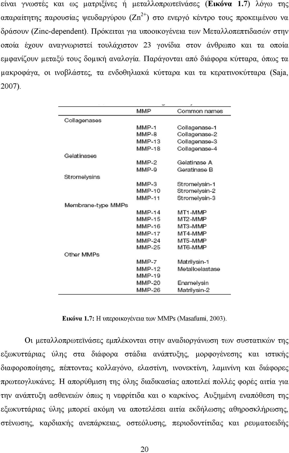 Παράγονται από διάφορα κύτταρα, όπως τα µακροφάγα, οι ινοβλάστες, τα ενδοθηλιακά κύτταρα και τα κερατινοκύτταρα (Saja, 2007). Εικόνα 1.7: Η υπεροικογένεια των MMPs (Masafumi, 2003).