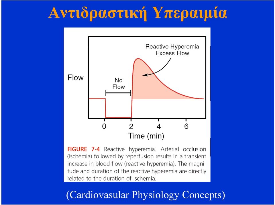 (Cardiovasular